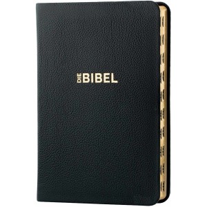 Schlachter 2000, Taschenausgabe mit Paralellstellen - Griffregister